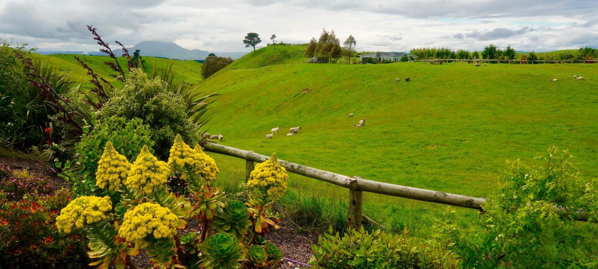 Hilltop Whakaipo Estate Tauposjön Exteriör bild