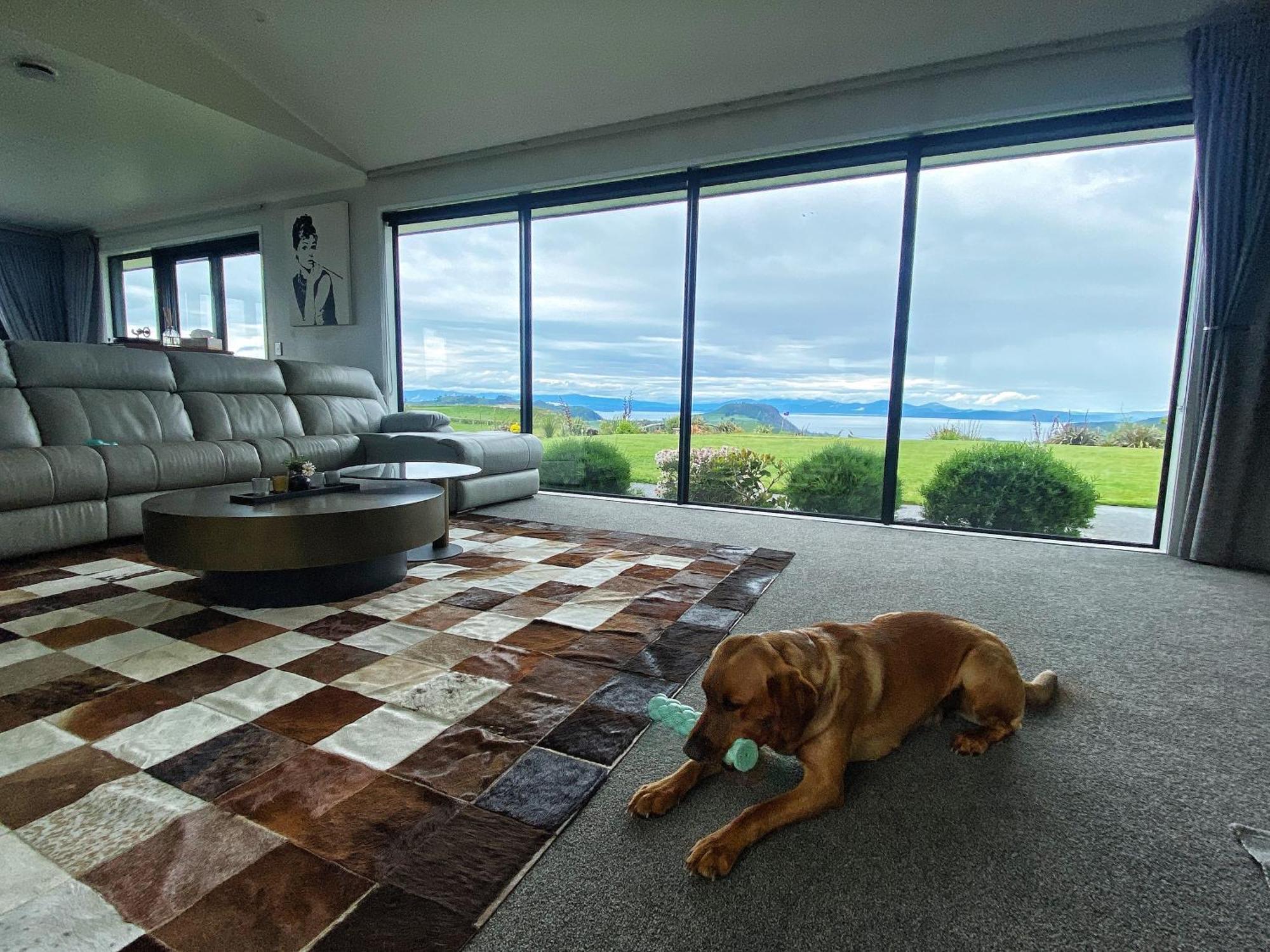 Hilltop Whakaipo Estate Tauposjön Exteriör bild