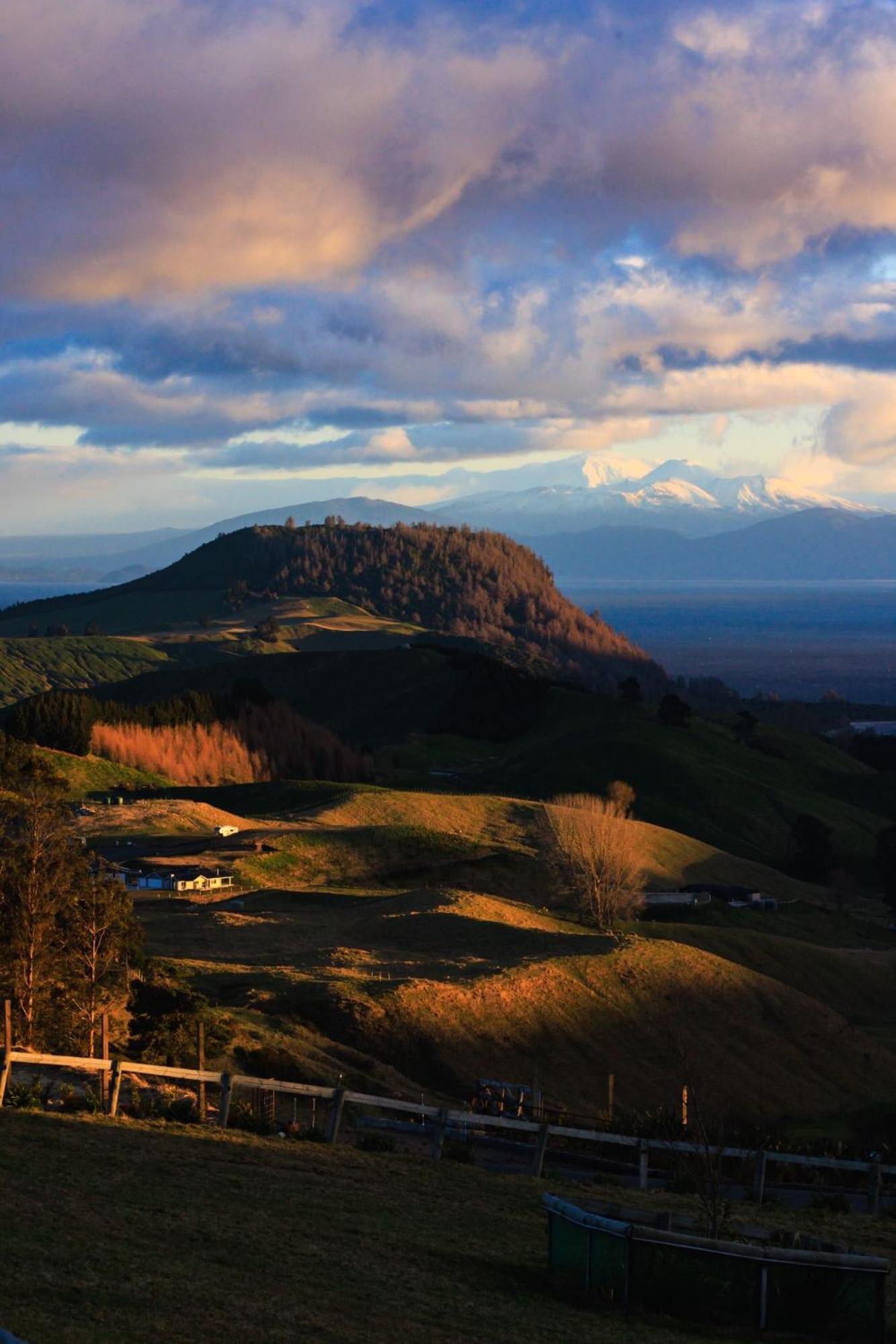 Hilltop Whakaipo Estate Tauposjön Exteriör bild