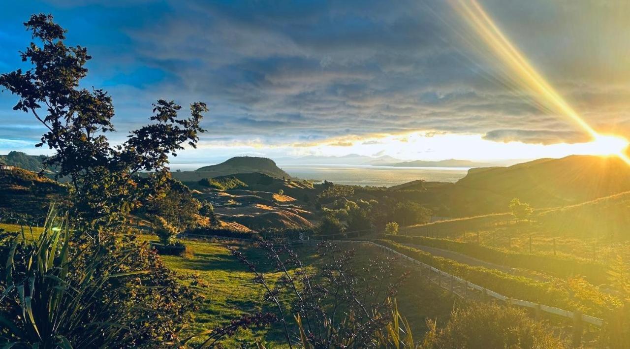 Hilltop Whakaipo Estate Tauposjön Exteriör bild